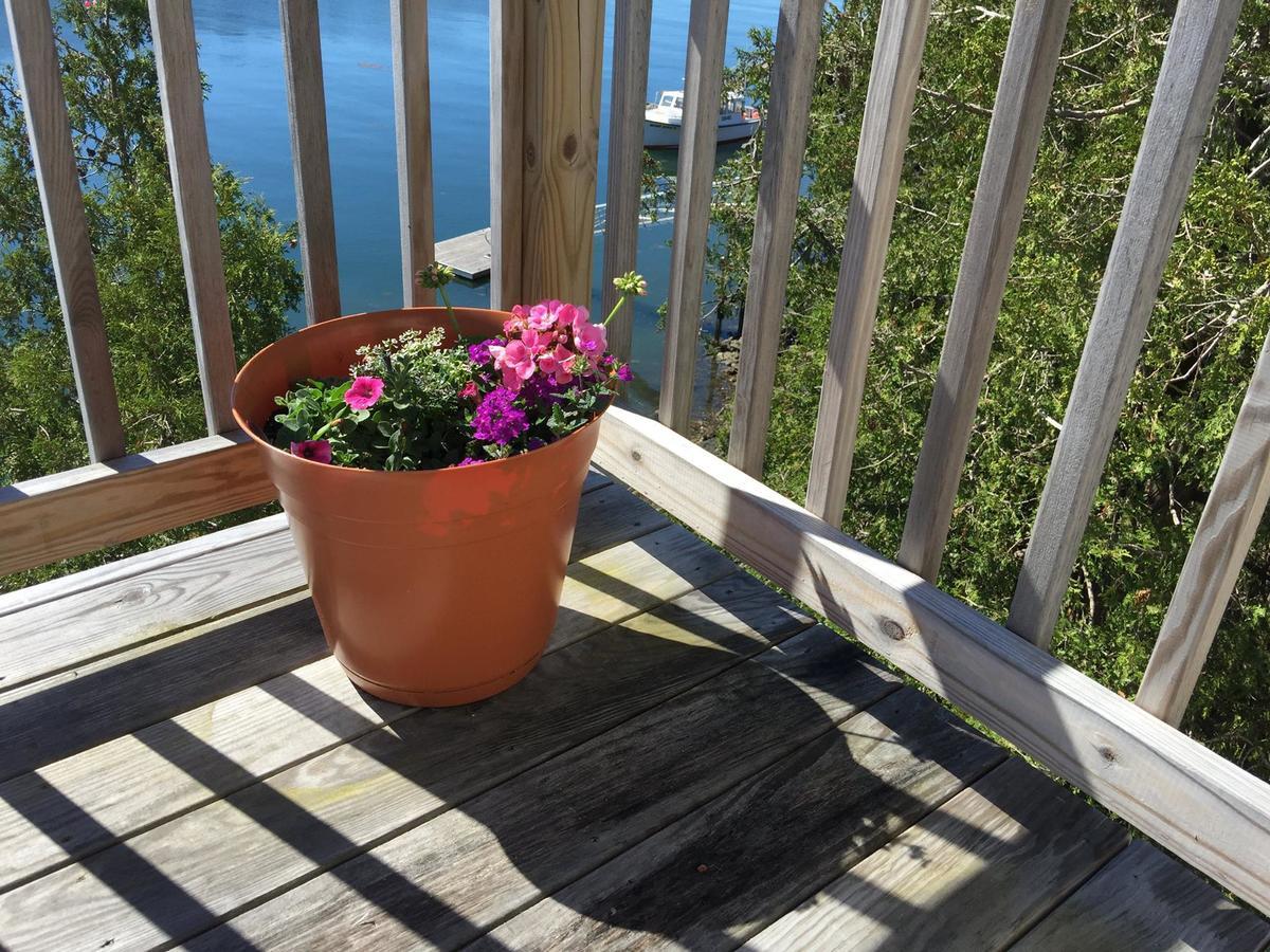 Quahog Bay Inn Harpswell Esterno foto